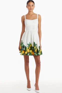 Best Amanda Uprichard Napoli Dress Lemonhead
