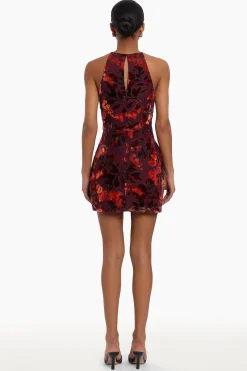 Amanda Uprichard Selah Dress SorrelBurnout